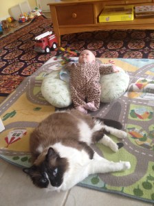 Little Lyra and big Boggart, January 27, 2012